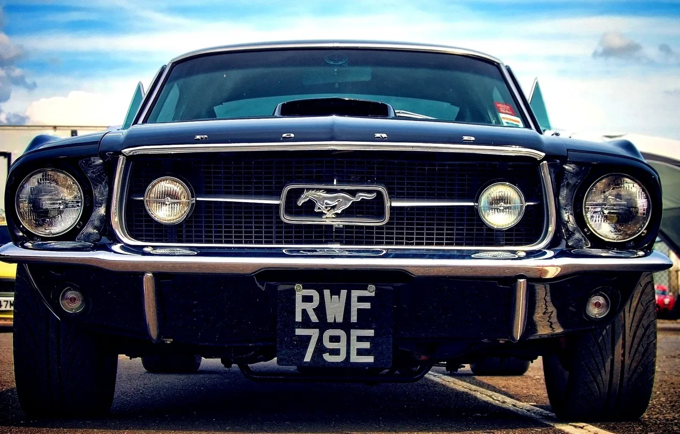 Фото обои Mustang, Ford, emblem, front, badge, bumper
