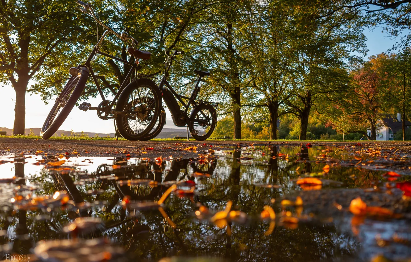 Фото обои осень, листья, деревья, отражение, лужа, велосипеды