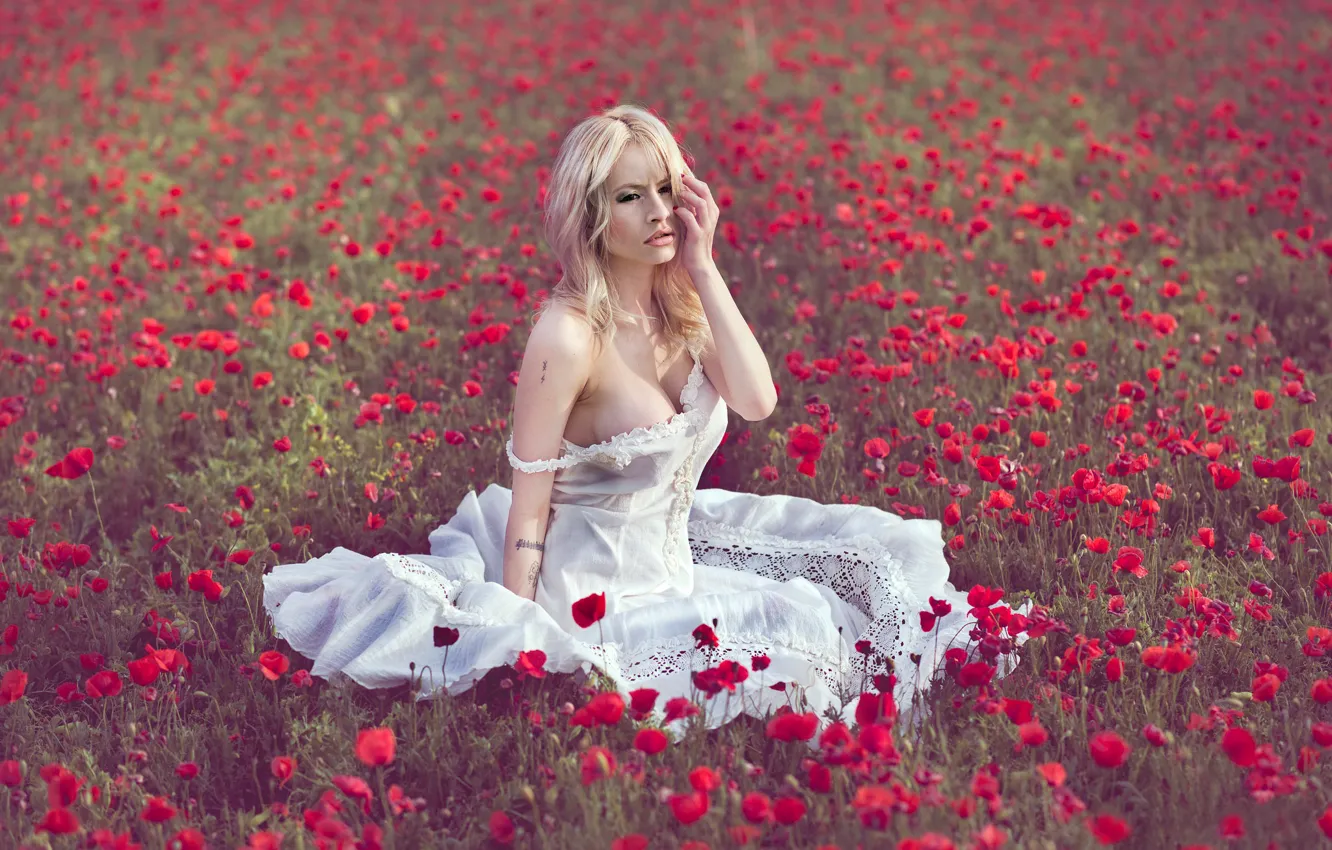 Фото обои поле, девушка, цветы, настроение, маки, платье, луг, Vanessa Galway