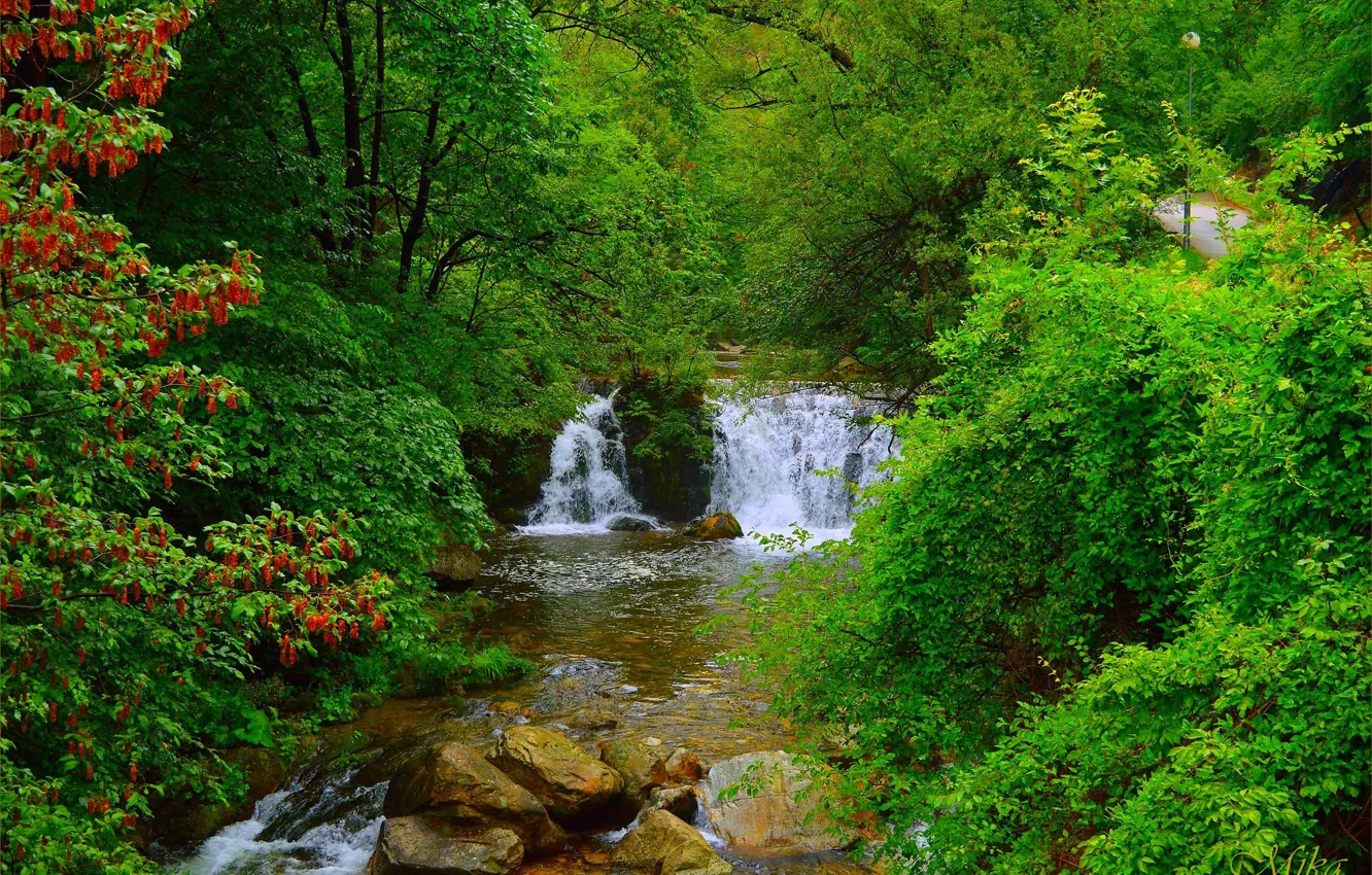 Фото обои Водопад, Деревья, Лес, Камни, Waterfall, Forest, Trees