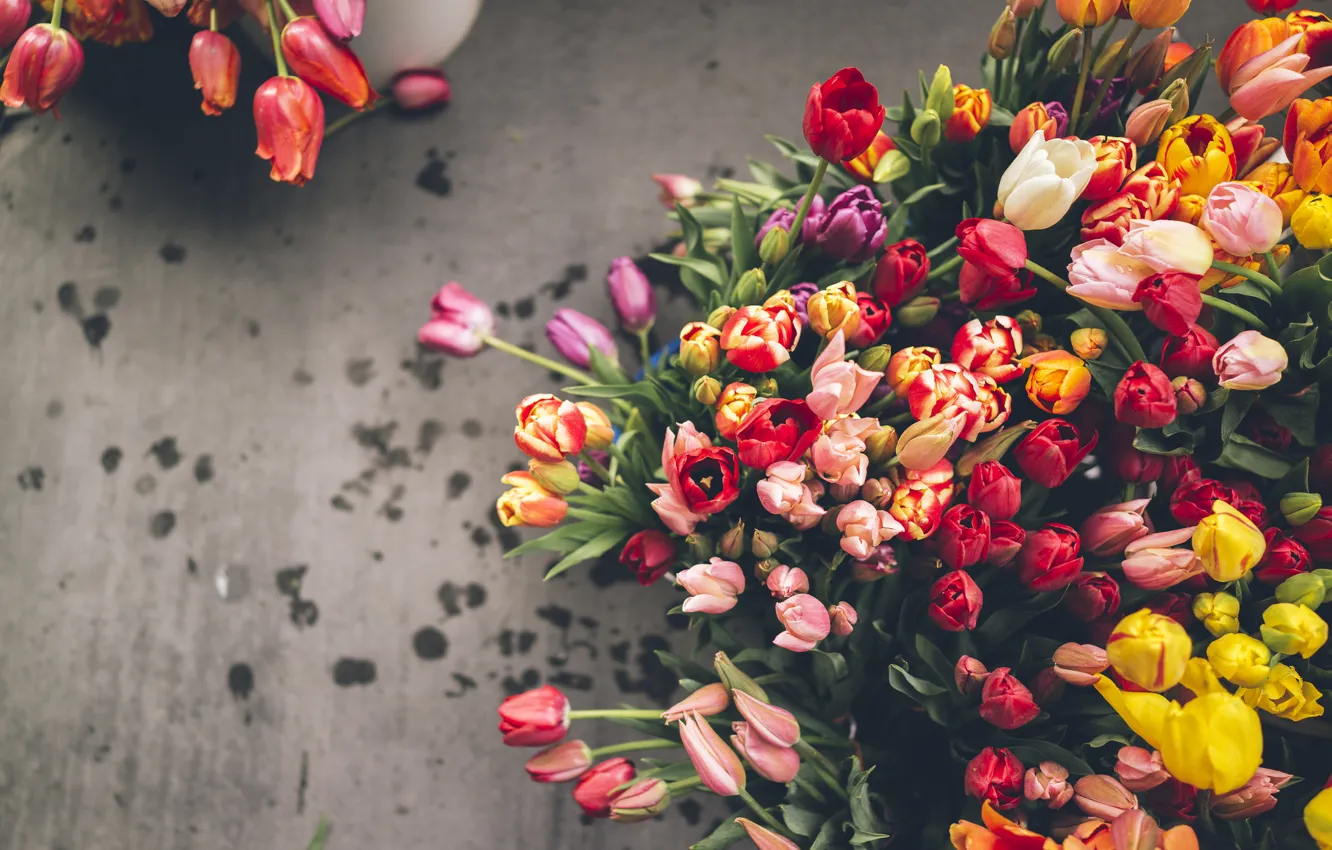 Фото обои цветы, тюльпаны, много, разные