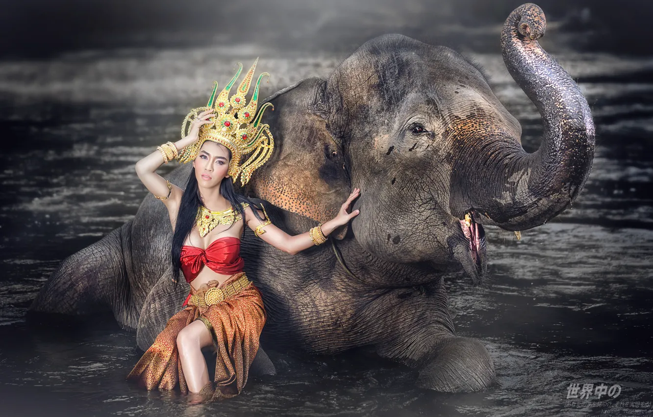 Фото обои вода, девушка, стиль, слон, наряд, азиатка