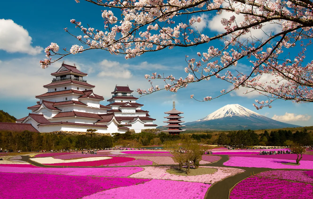 Фото обои ветки, парк, замок, вулкан, Япония, сакура, Japan, цветение