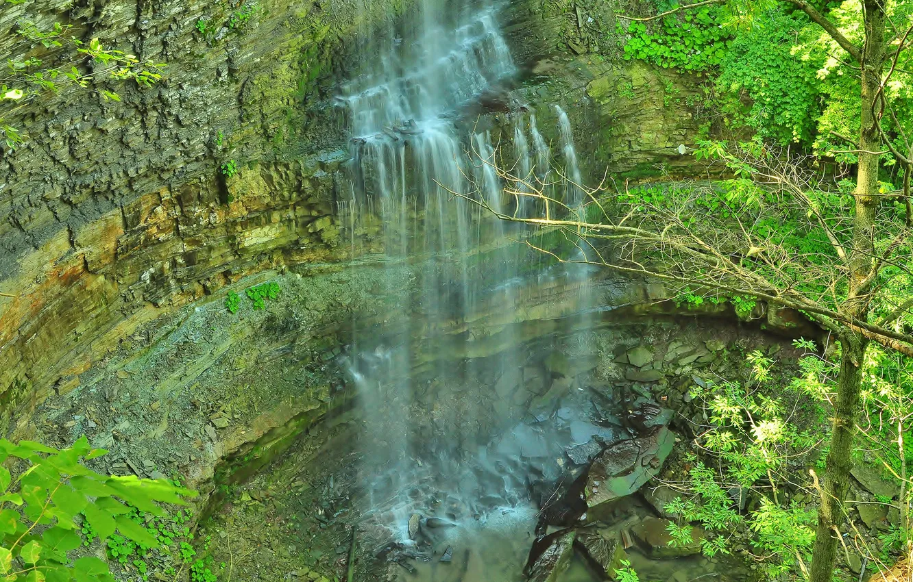 Фото обои листья, камни, дерево, скалы, водопад