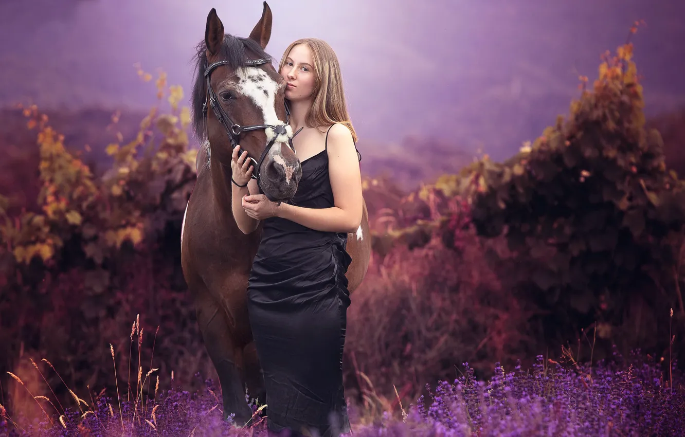 Фото обои лето, девушка, конь