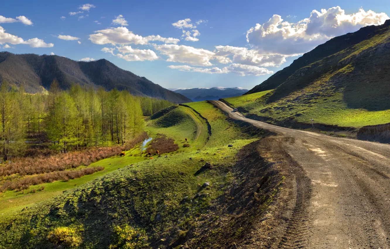 Фото обои дорога, пейзаж, зеленая трава, перспектива, Горный Алтай, Бантуризм, путешествие Мобиба, мобильная баня Mobiba
