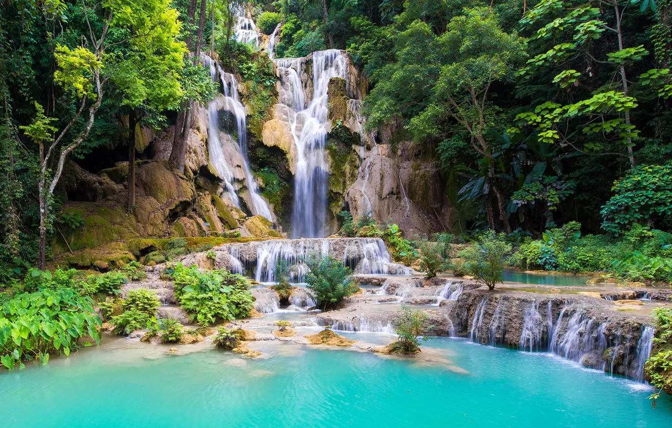 Фото обои лес, деревья, камни, скалы, водопад, Laos, Лаос, Kouangxi Water Fall