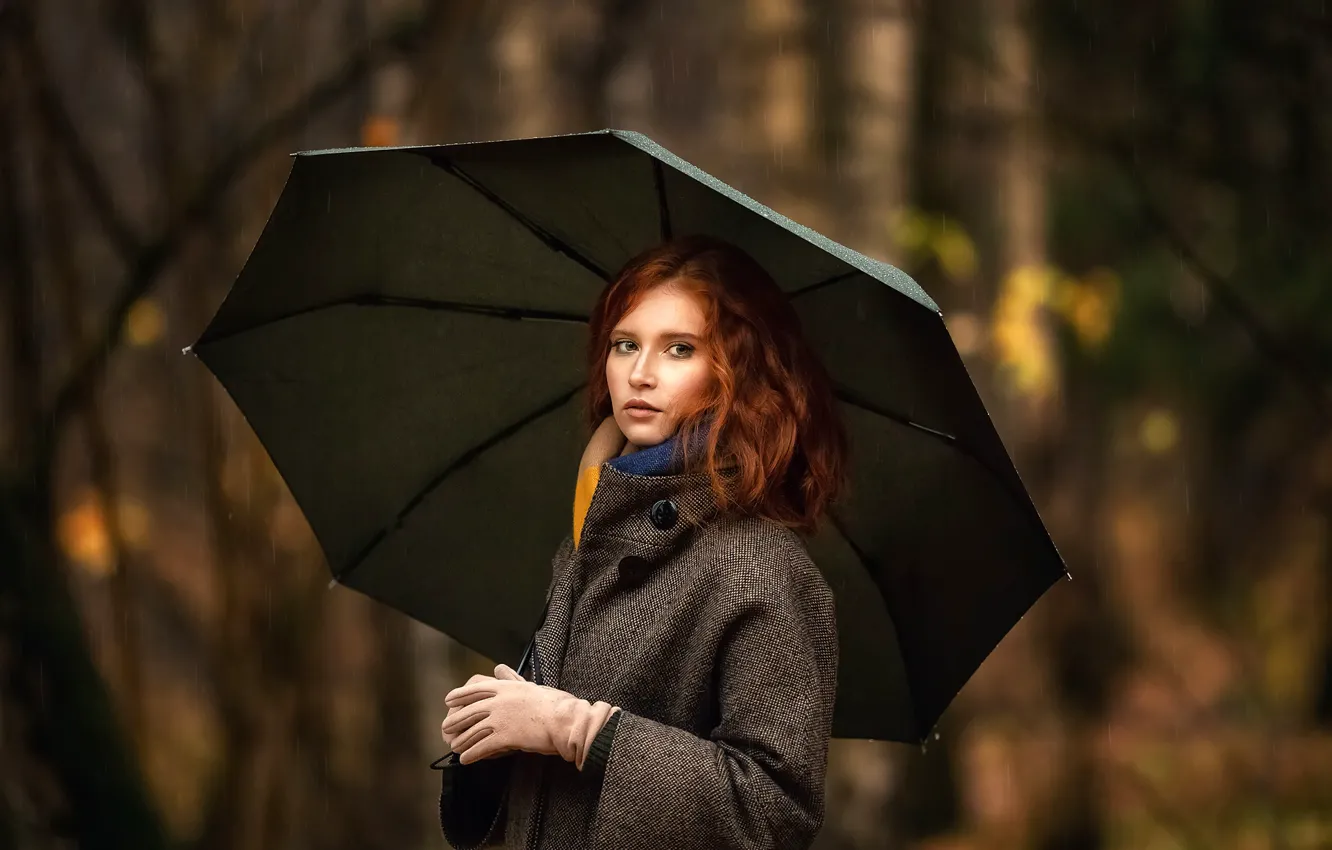 Фото обои осень, взгляд, деревья, парк, дождь, модель, портрет, зонт