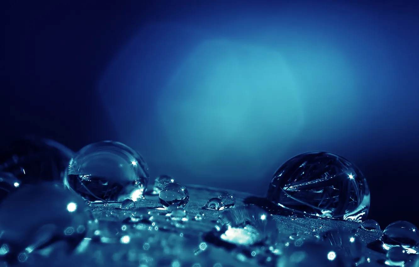 Фото обои Макро, Капли, Macro, Drops