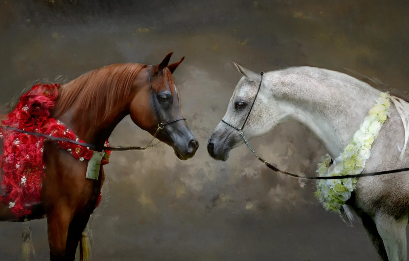 Фото обои белый, взгляд, цветы, серый, фон, кони, портрет, картина