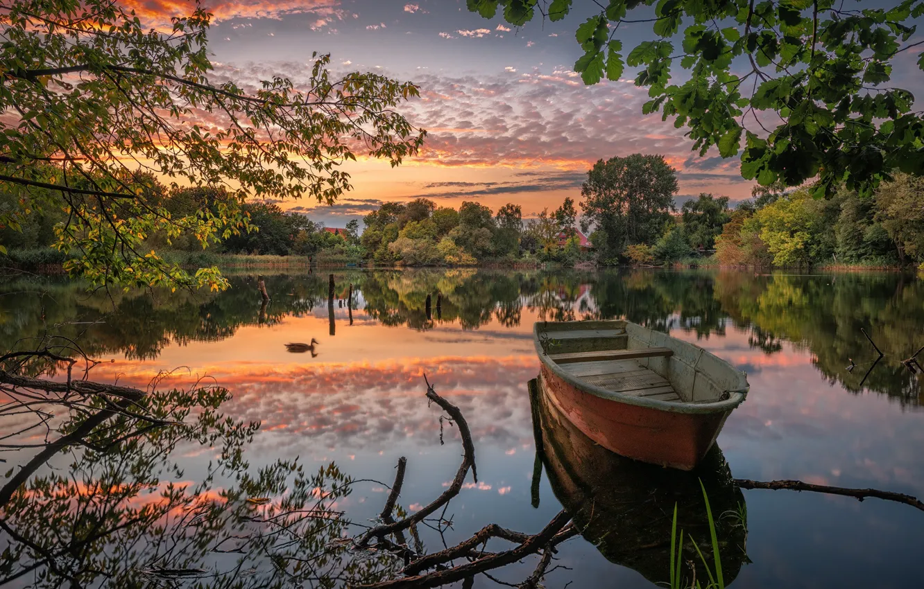 Фото обои деревья, ветки, озеро, пруд, отражение, лодка, утка