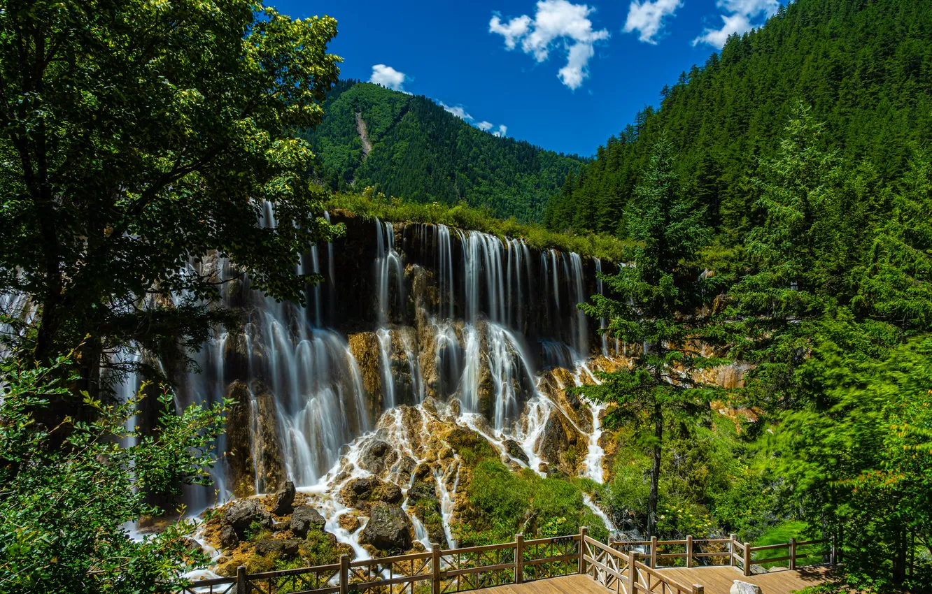 Фото обои лес, природа, водопад