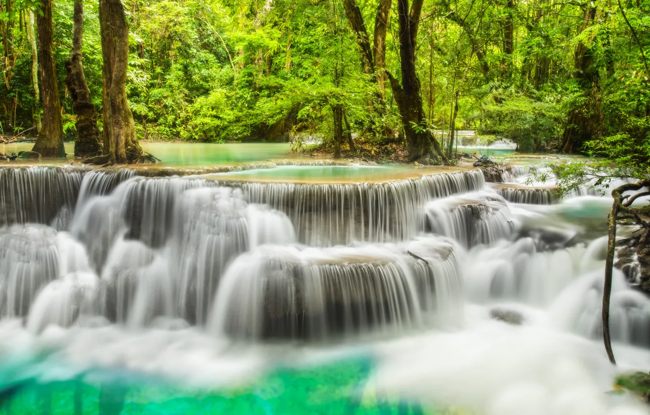 Фото обои лес, река, водопад, forest, river, landscape, waterfall, emerald