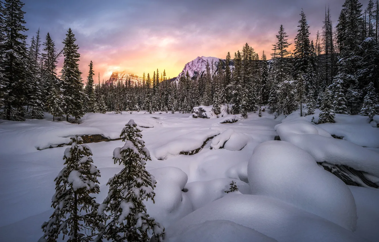 Фото обои зима, лес, небо, облака, свет, снег, закат, горы