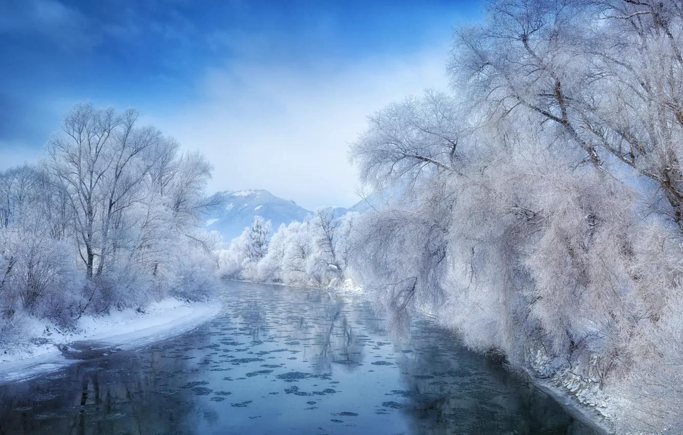 Фото обои зима, иней, лес, небо, снег, деревья, горы, природа