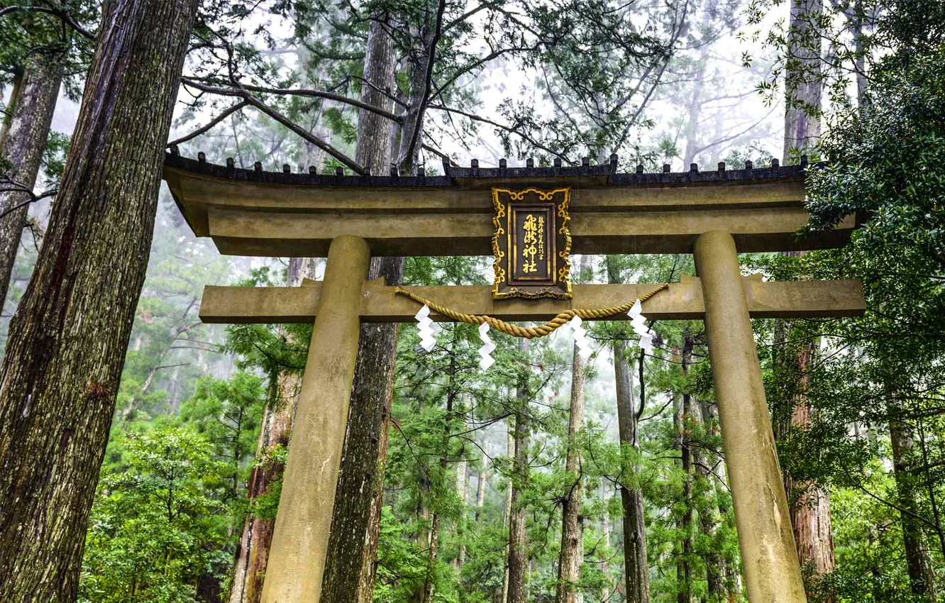 Фото обои дорога, лес, деревья, ворота, Япония, Хонсю, Вакаяма, Кумано-Кодо