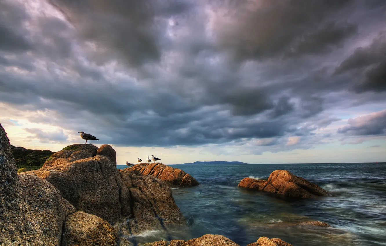 Фото обои небо, вода, облака, птицы, камни, чайки, Море, бухта