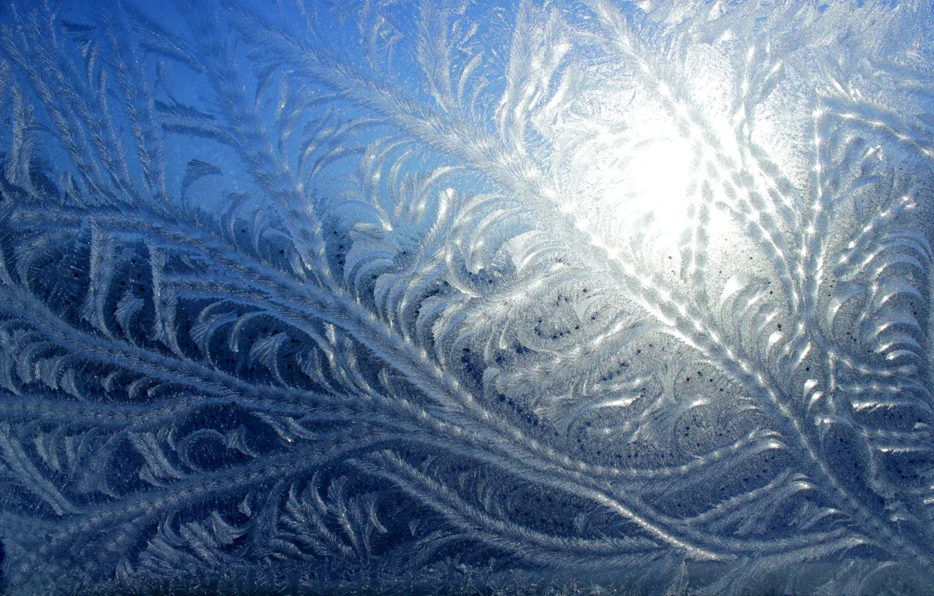 Фото обои зима, солнце, узор, окно, Мороз