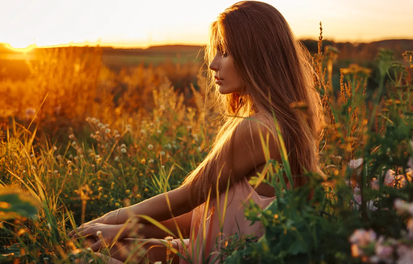 Фото обои поле, трава, девушка, закат, модель, портрет, light, summer