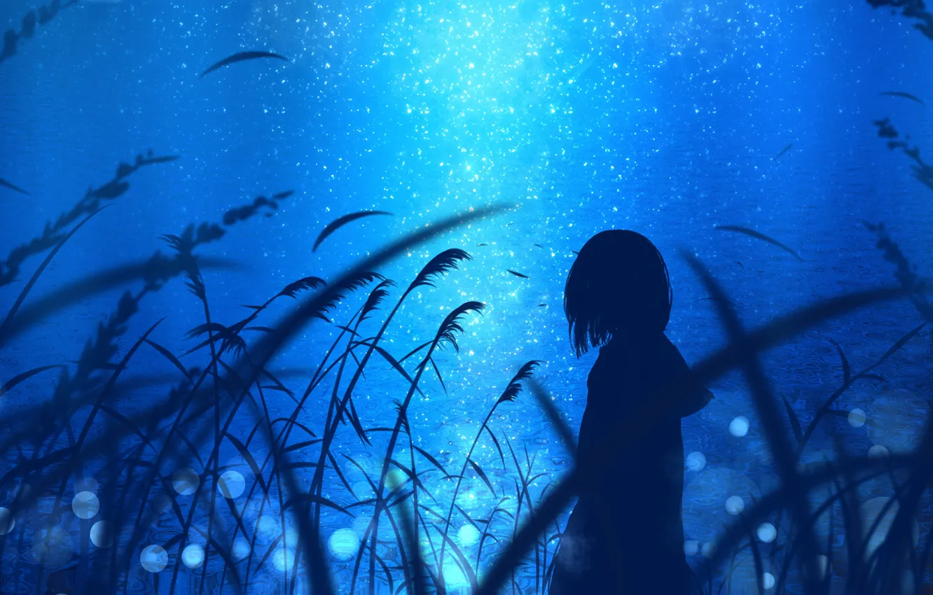 Фото обои вода, девушка, ночь, природа, by jw