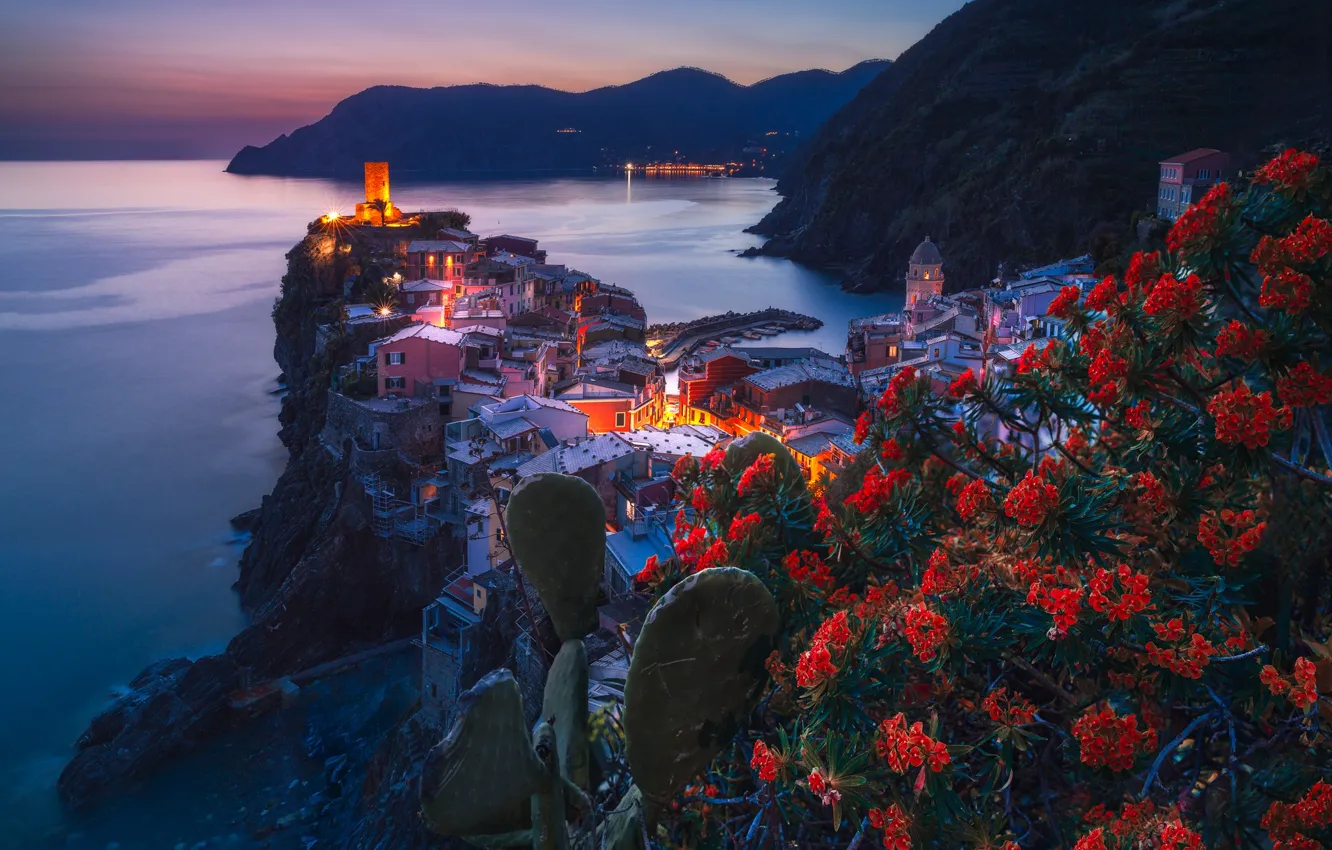 Фото обои море, цветы, горы, ночь, город, огни, берег, здания