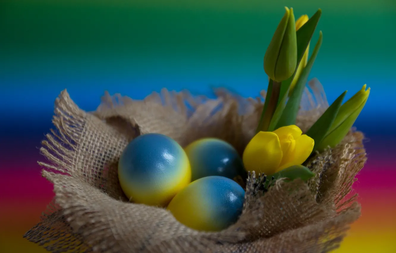Фото обои Цветы, Тюльпаны, Пасха, Яйца, Праздник