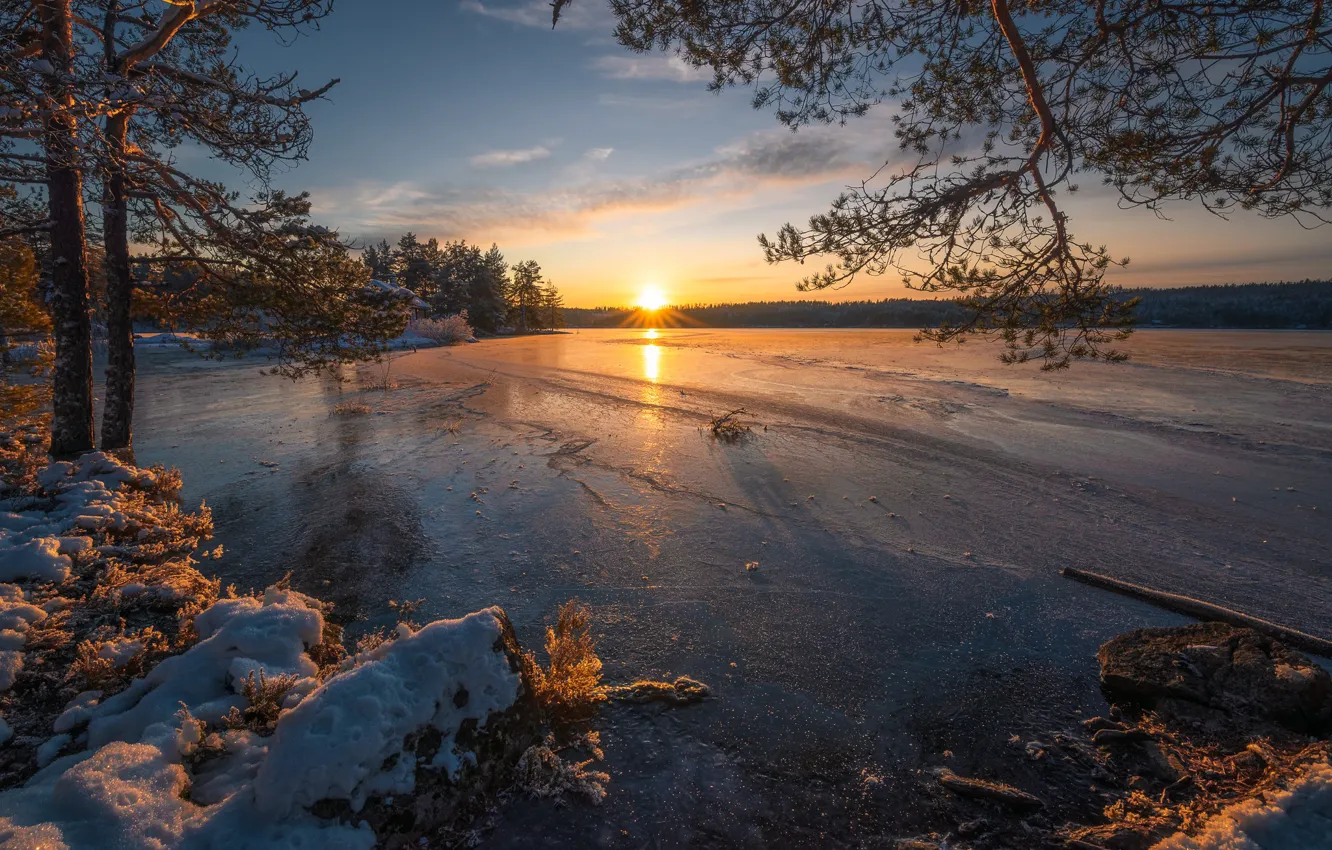 Фото обои зима, деревья, закат, озеро, лёд, Норвегия, сосны, Norway