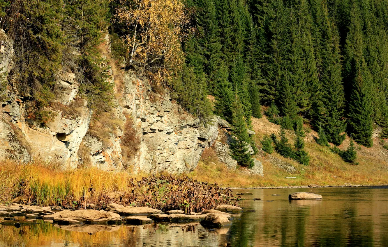 Фото обои осень, деревья, река, камни, скалы, Россия, Пермский край, Койва