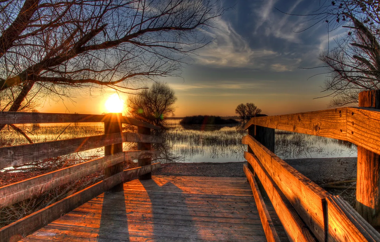 Фото обои солнце, закат, ветки, озеро, камыши, Калифорния, США, Merced National Wildlife Refuge