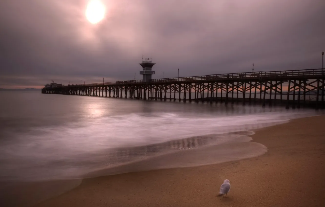 Фото обои море, небо, облака, птица, hdr, пирс, США, California