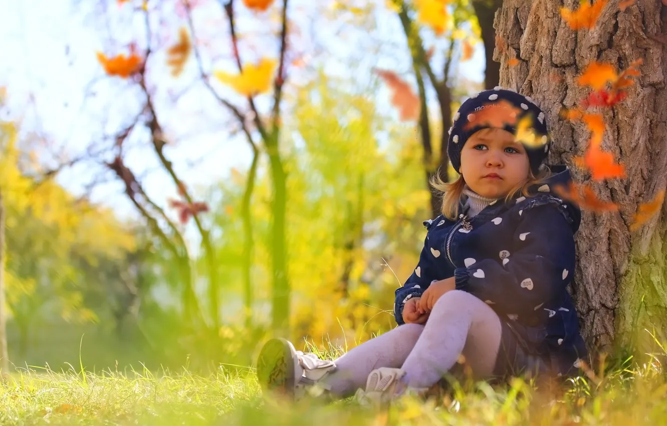 Фото обои осень, природа, ребенок, девочка