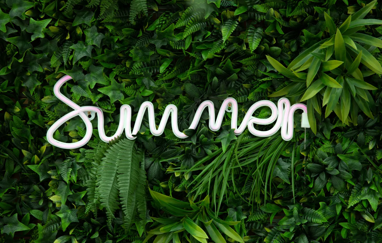 Фото обои Nature, Summer, Plants, Ferns, Neon sign, Green aesthetic
