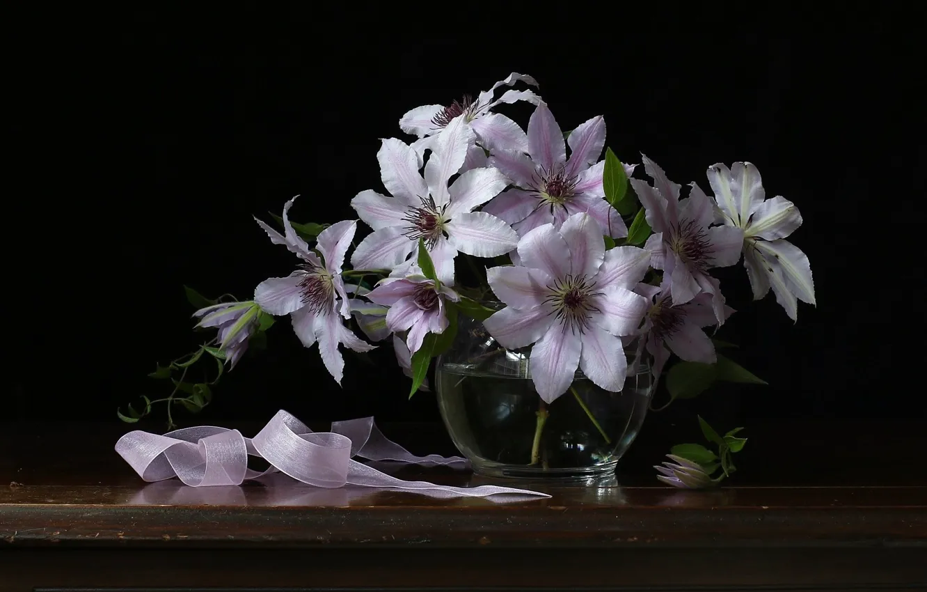 Фото обои цветы, натюрморт, клематисы