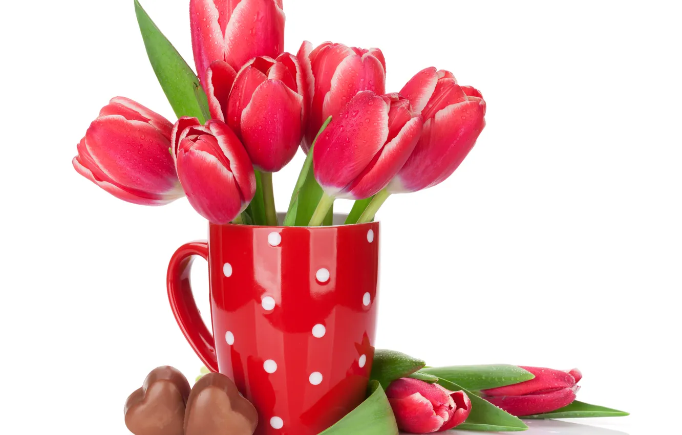 Фото обои цветы, шоколад, букет, тюльпаны, красные, red, flowers, romantic