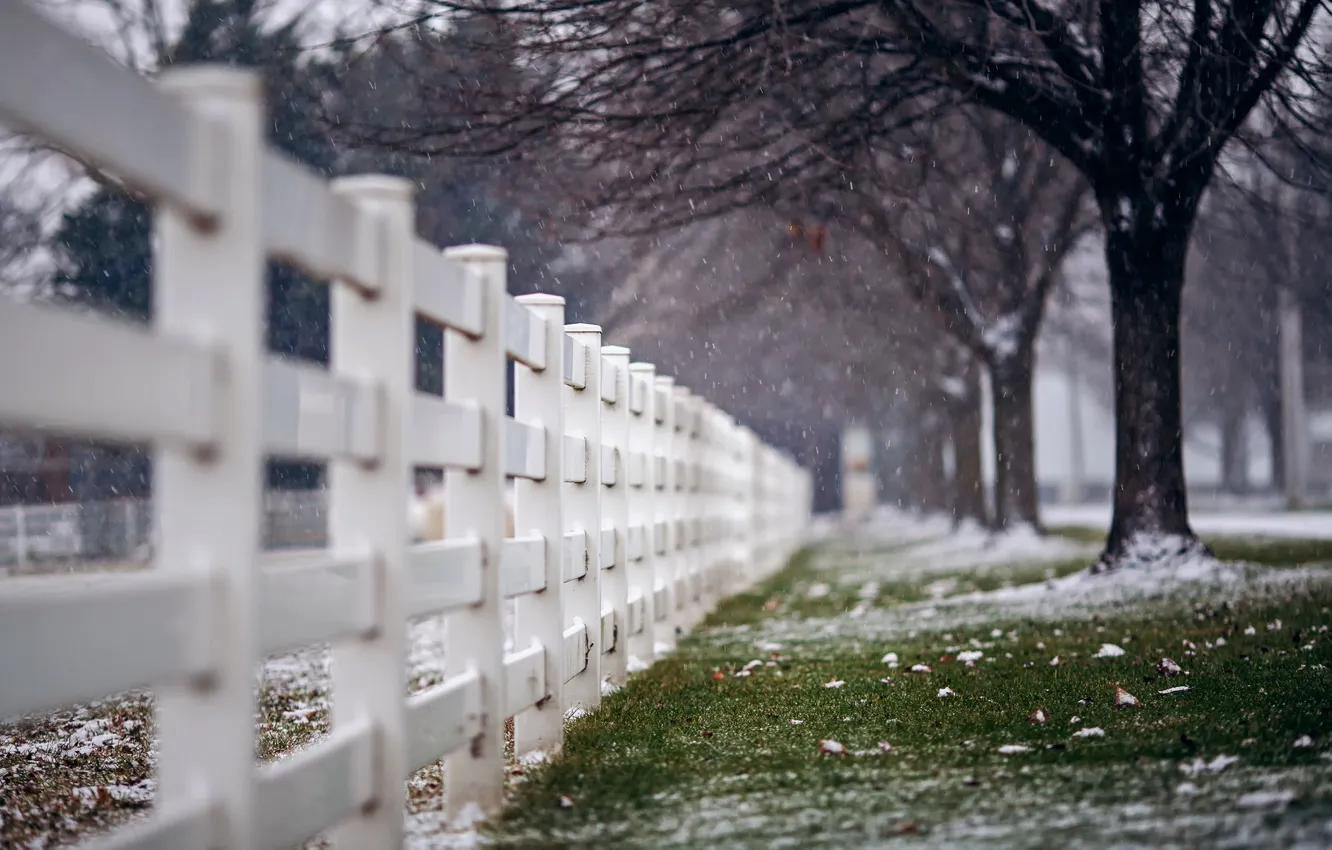 Фото обои снег, город, улица, забор