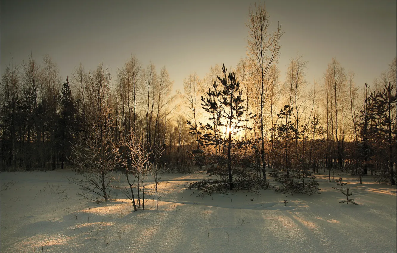 Фото обои зима, снег, пейзаж, закат, вечер, сумерки