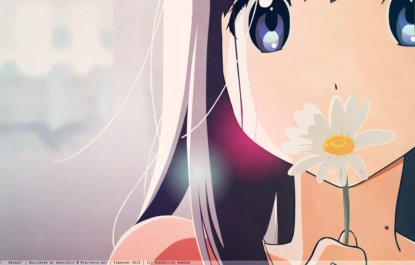 Фото обои цветок, девушка, ромашка, голубые глаза, длинные волосы, чёрные волосы, kitashirakawa tamako, tamako market