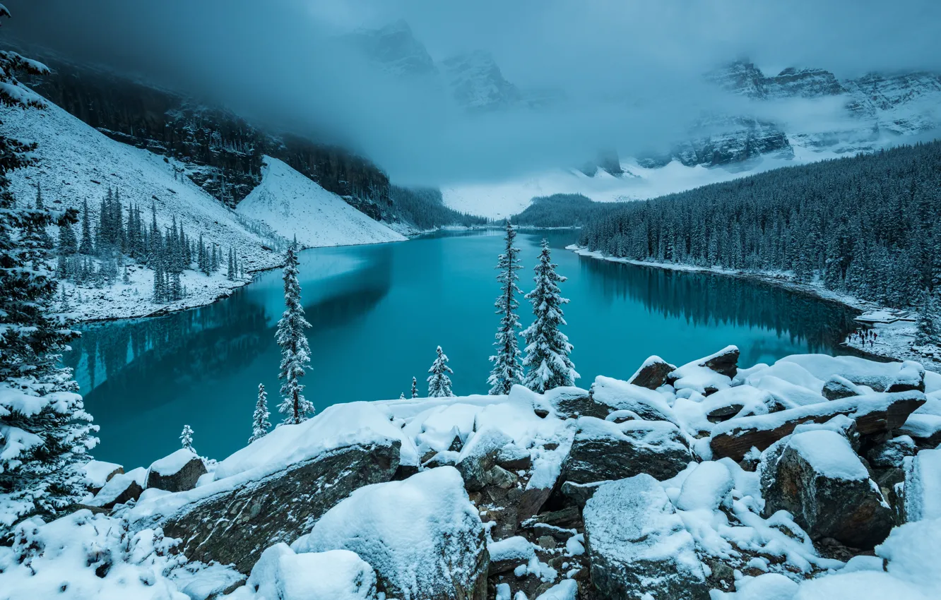 Фото обои зима, иней, лес, снег, горы, туман, озеро, отражение