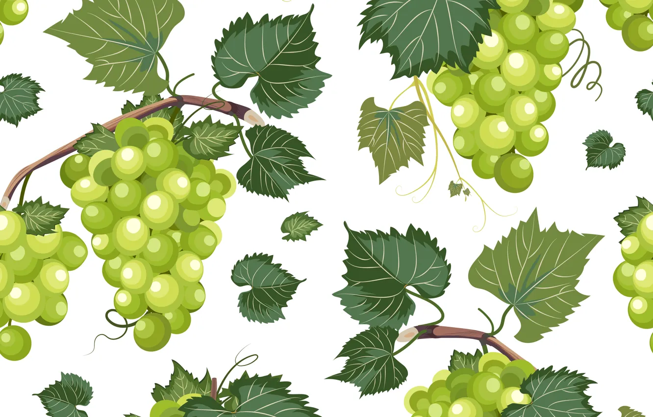 Фото обои фон, виноград, лоза