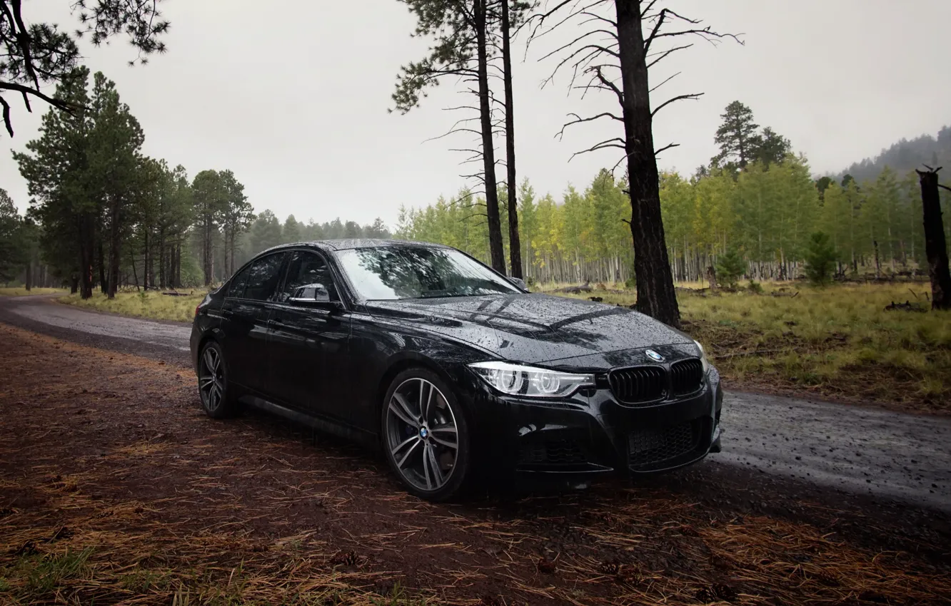 Фото обои дорога, лес, капли, деревья, дождь, черный, фары, бмв