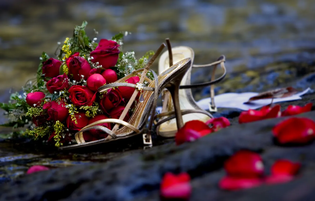 Фото обои цветы, романтика, розы, букет, rose, свадьба, flowers, beautiful