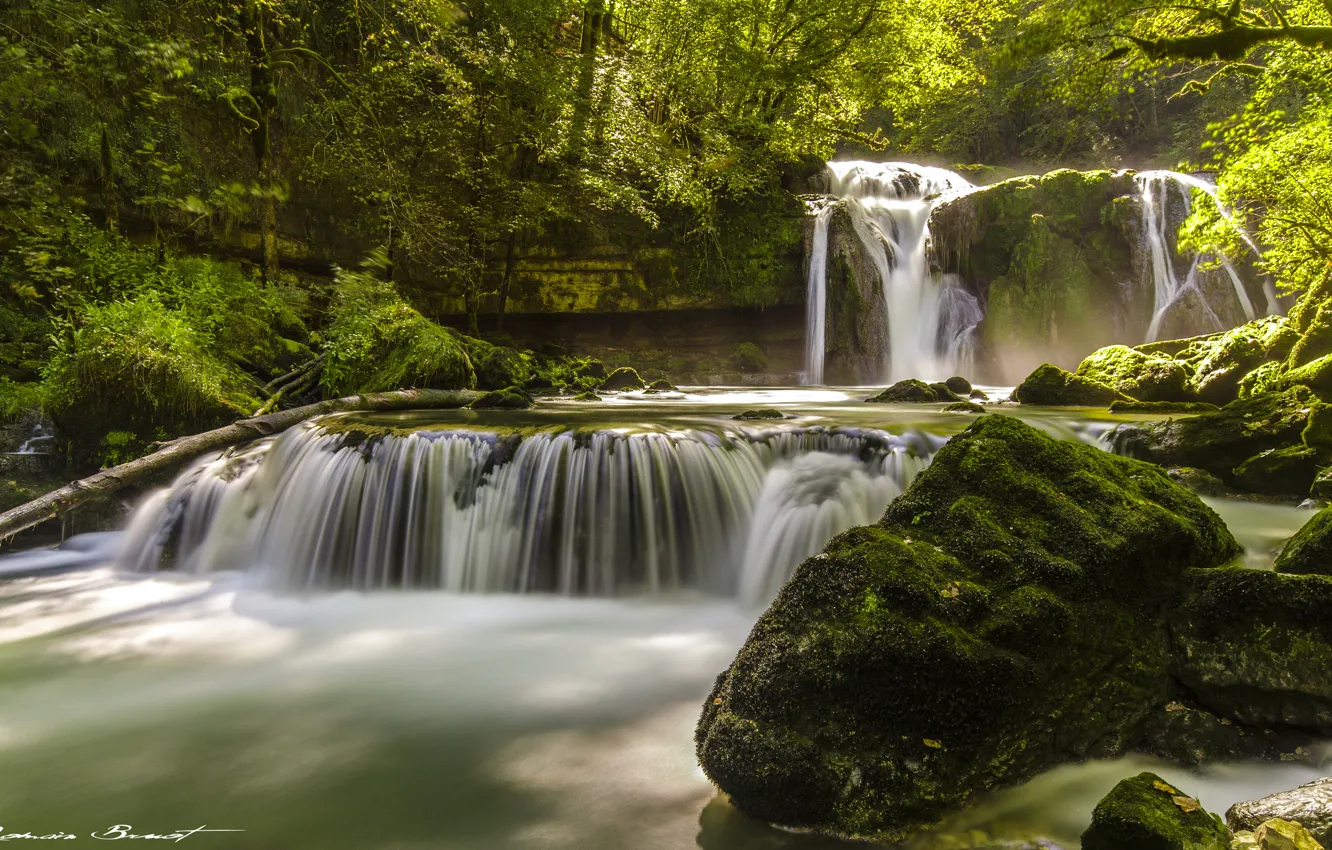 Фото обои лес, деревья, камни, Франция, водопад, мох, каскад, Franche-Comte