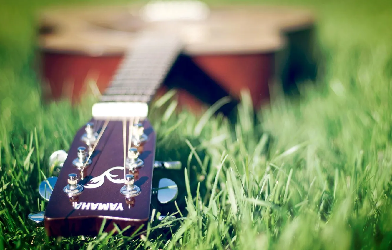 Фото обои Гитара, Yamaha, На траве