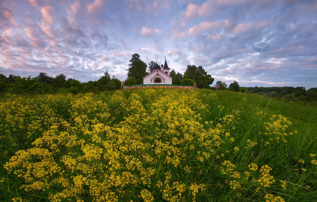 Фото обои пейзаж, природа, церковь, травы, Константин Воронов
