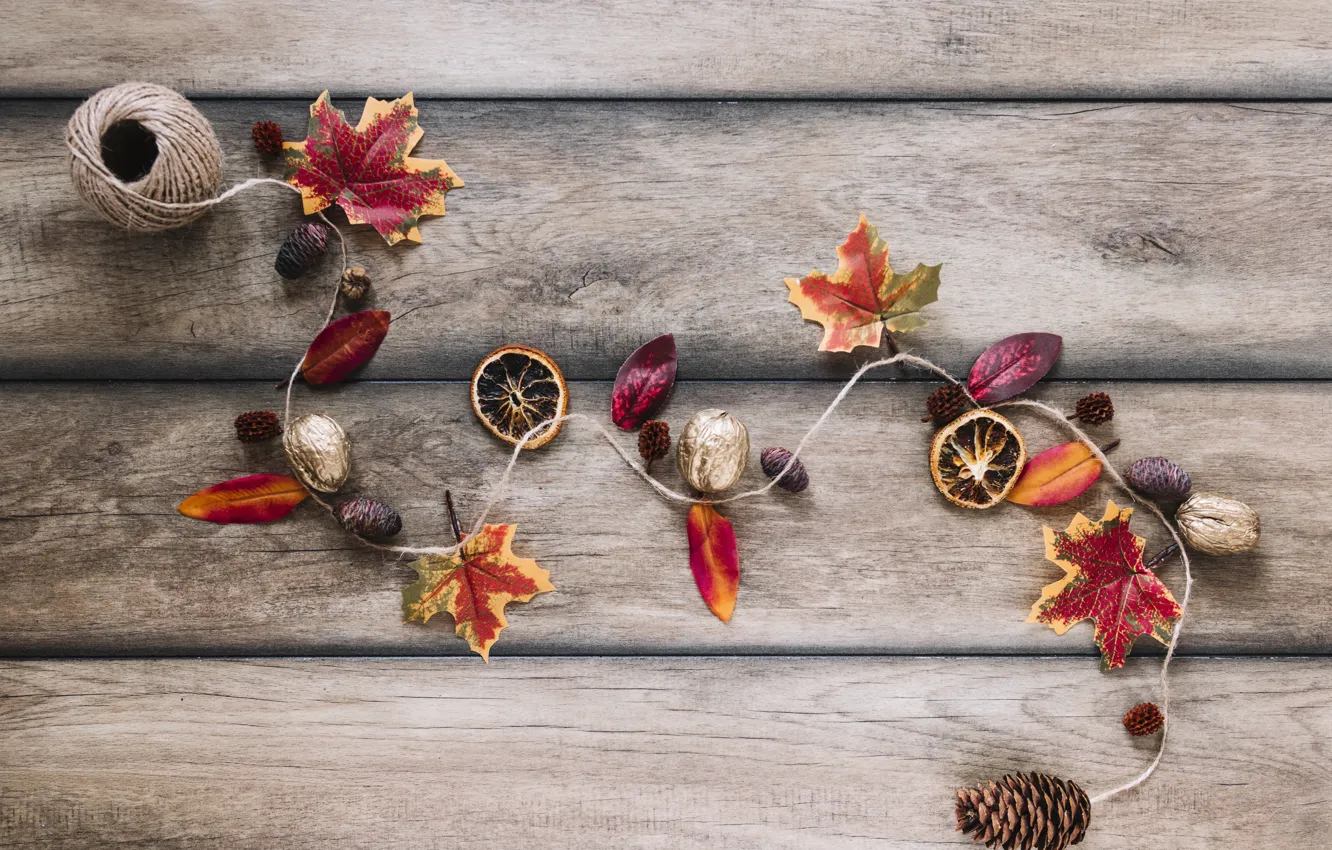 Фото обои осень, листья, фон, дерево, colorful, орехи, шишки, wood