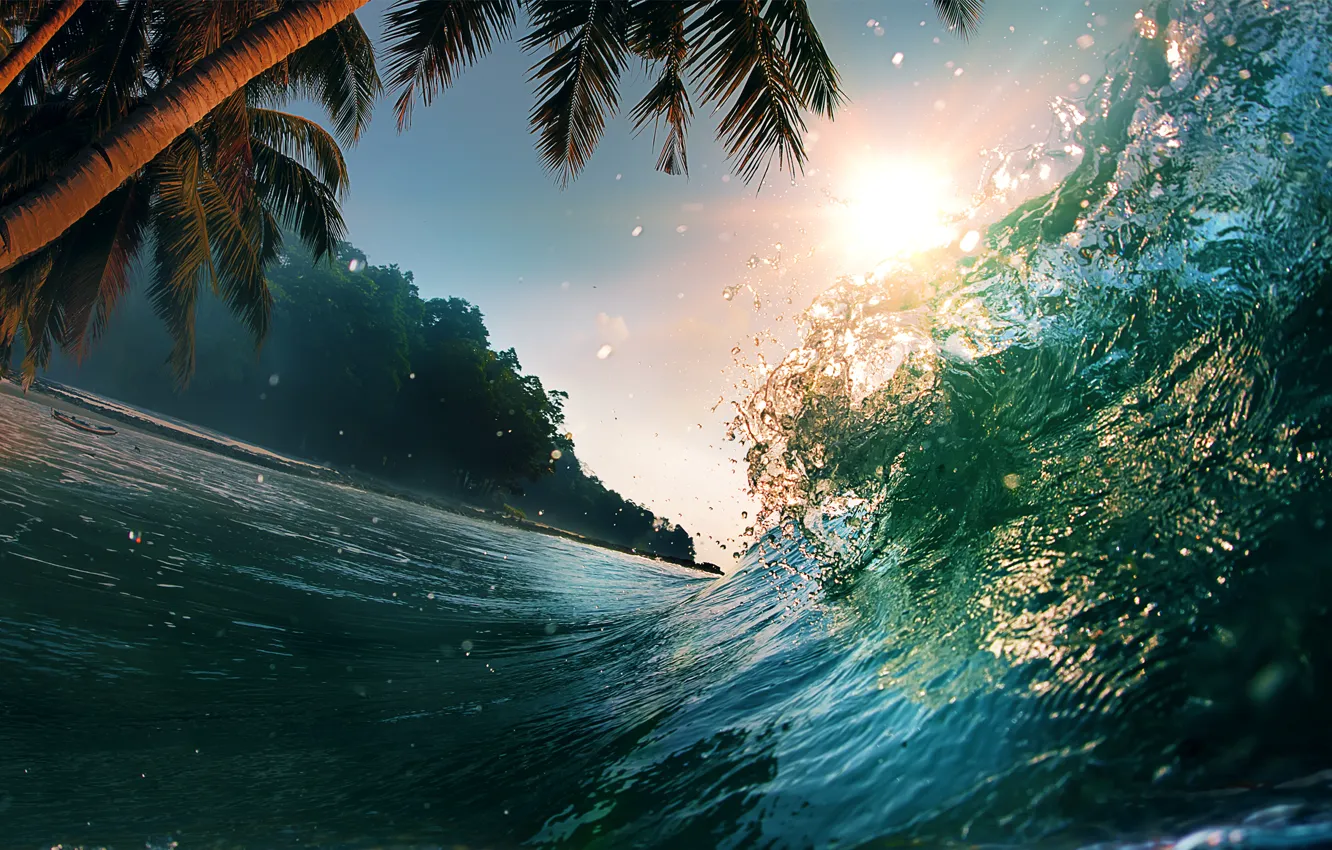 Фото обои море, волны, вода, пейзаж, природа, пальмы, океан, всплеск