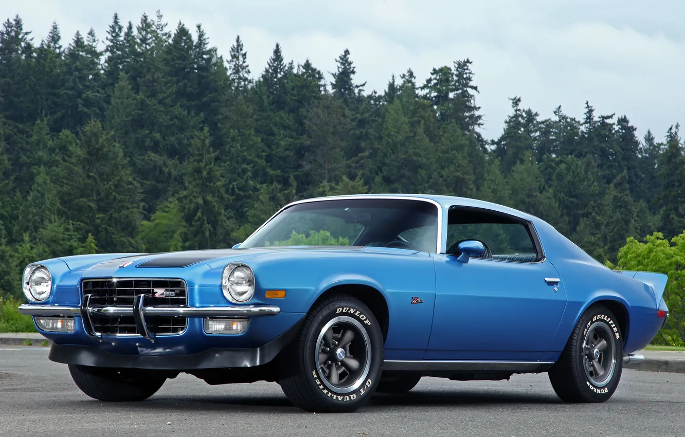 Фото обои синий, фон, Chevrolet, Камаро, Шевроле, Camaro, Muscle car, 1972
