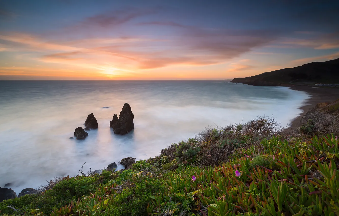 Фото обои пейзаж, закат, природа, океан, скалы, берег, растительность, Калифорния
