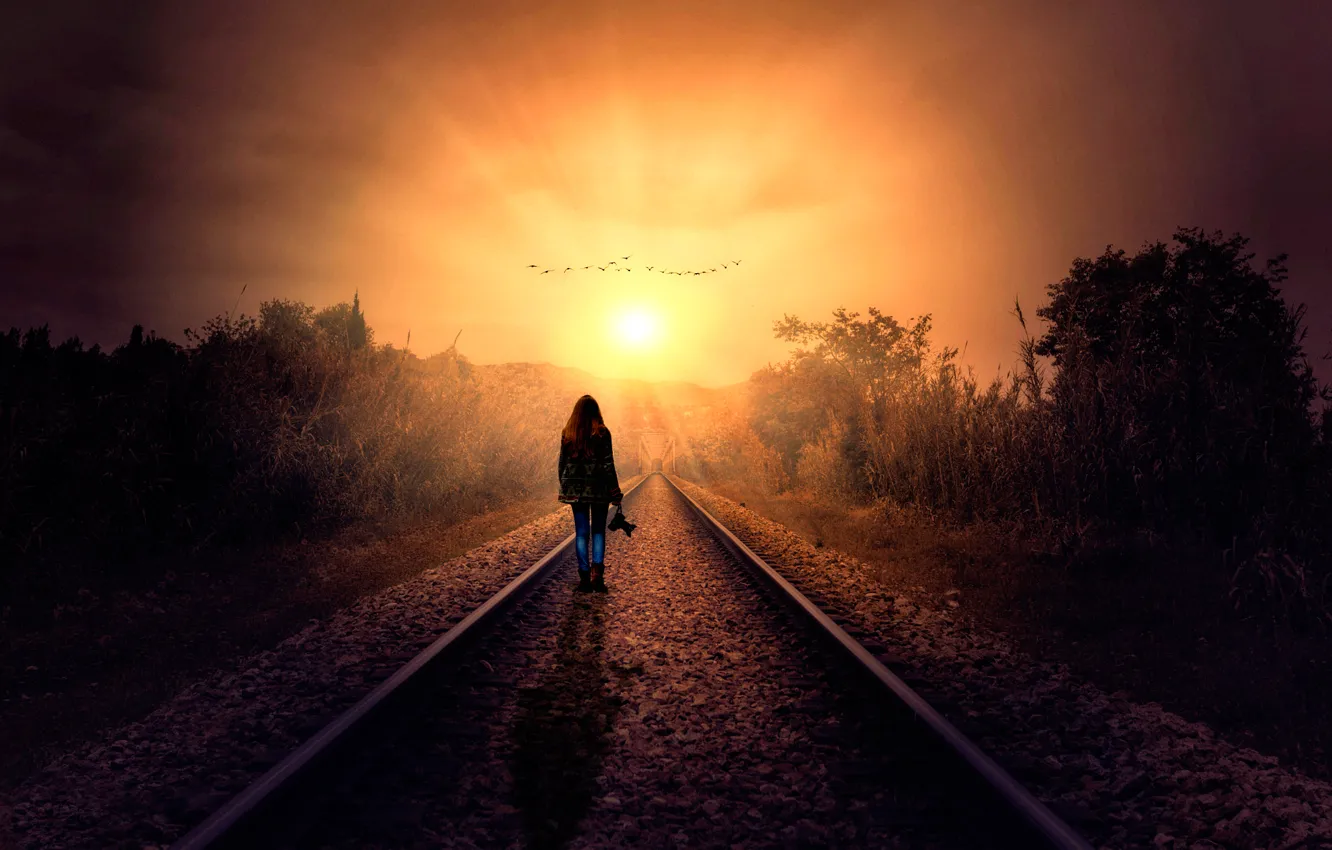 Фото обои девушка, солнце, путь