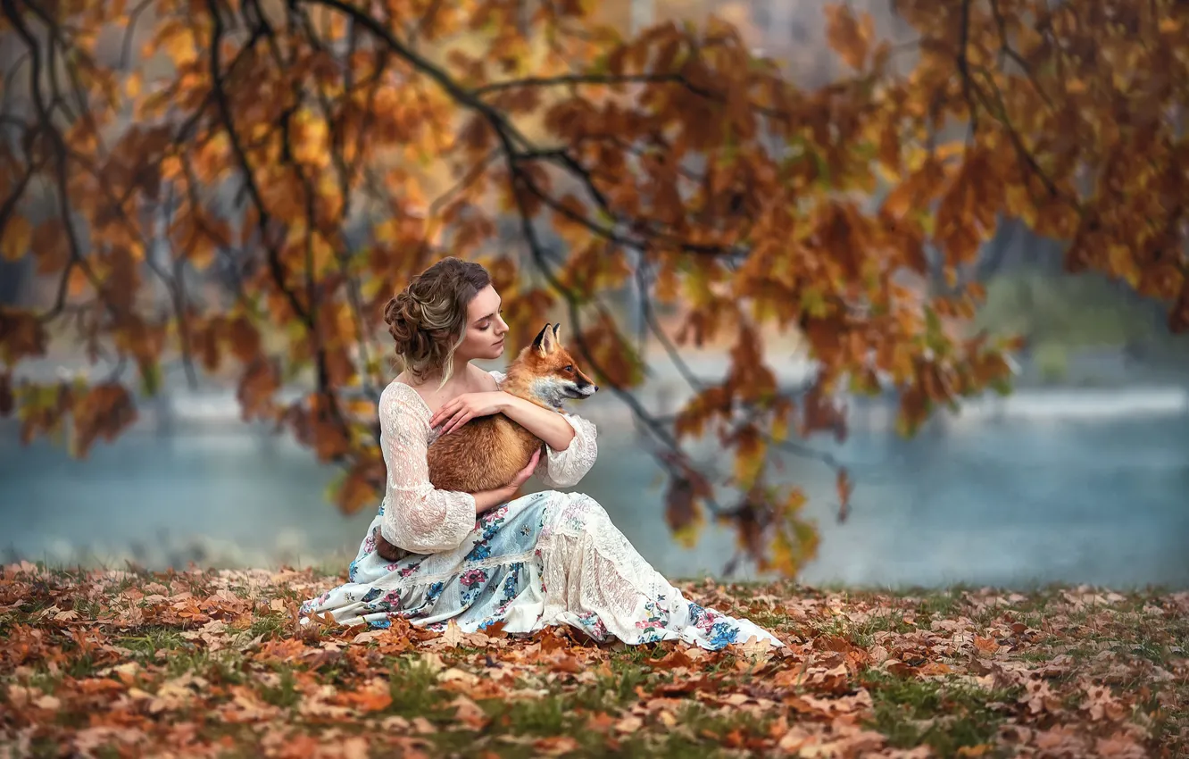 Фото обои осень, девушка, ветки, природа, животное, листва, лиса, водоём